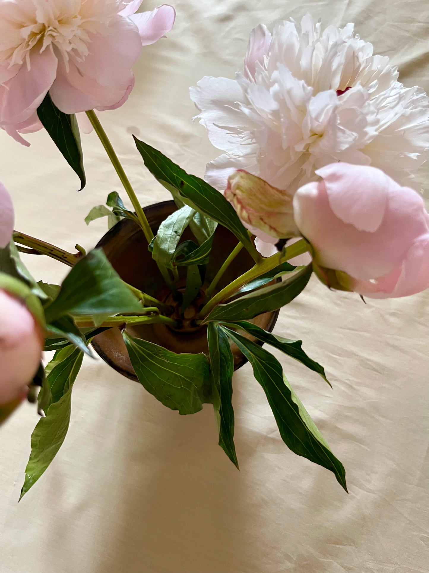Flower Frog
