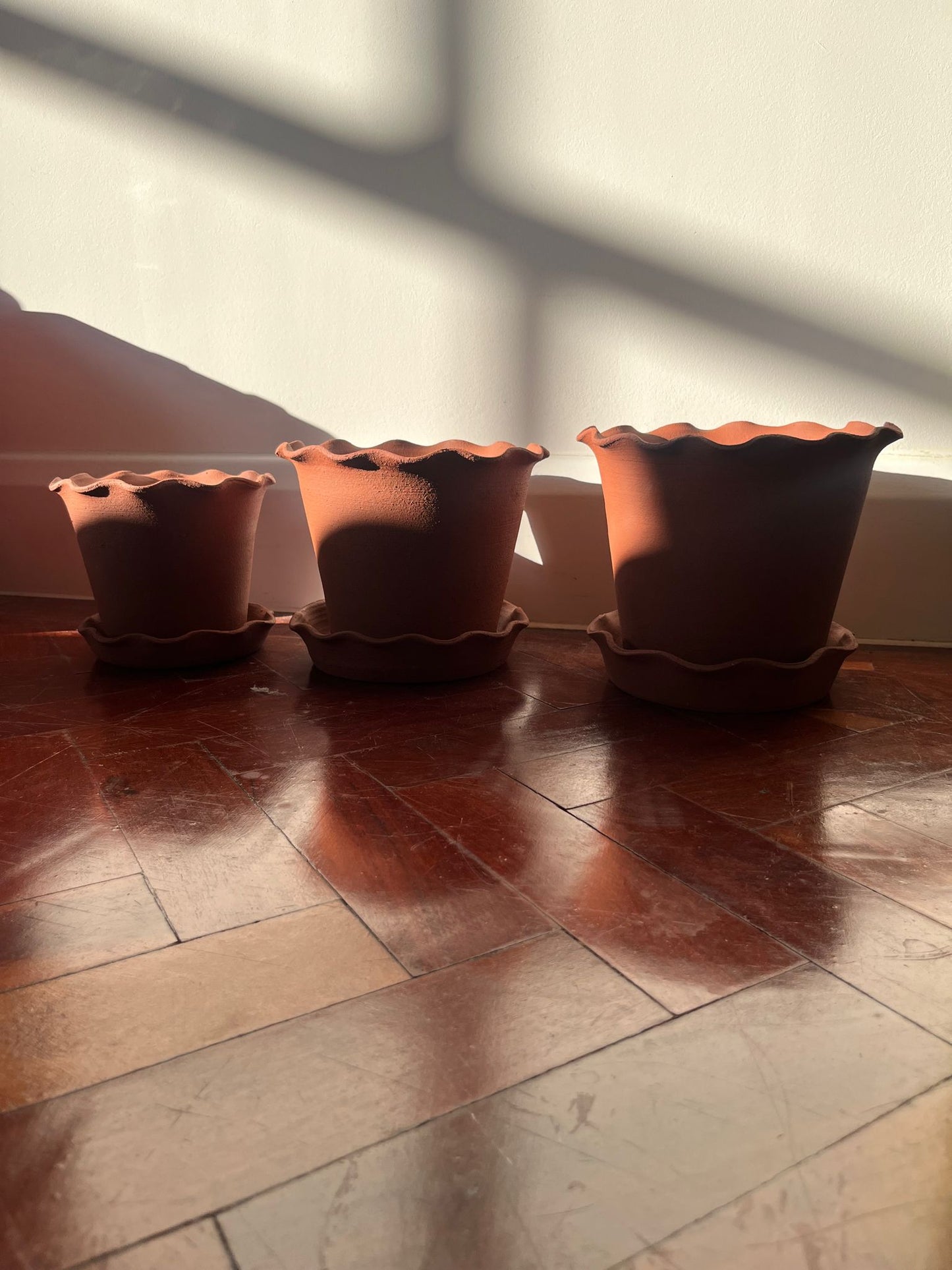 Terracotta Planters